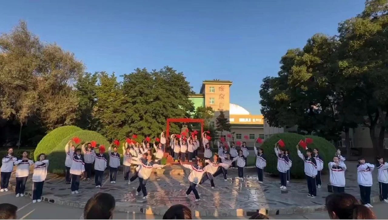 图片1