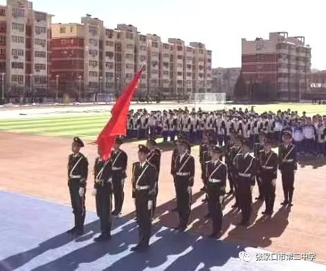 图片1
